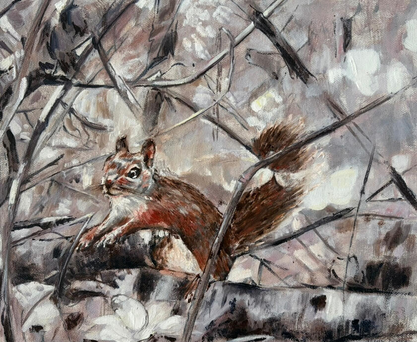 Ontario Red Squirrel oil on canvas 10" x 12"